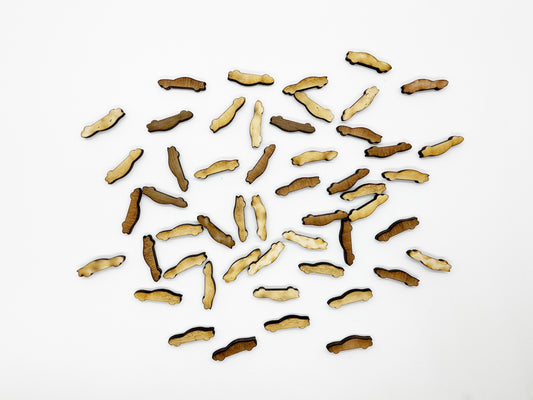 a white background with a bunch of dog treats in it